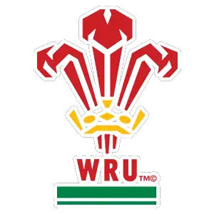 Logo Galles U20