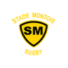 Logo Stade Montois