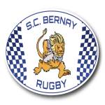 Logo Bernay