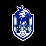 Logo HAGUENAU