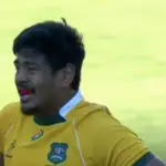 Will Skelton Wallabies