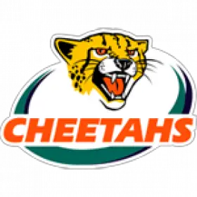 Logo Cheetahs