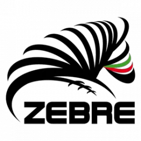 Logo Zebre Parme