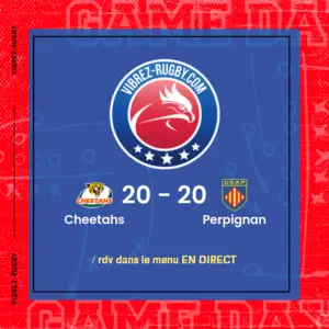 résultat Cheetahs - Perpignan