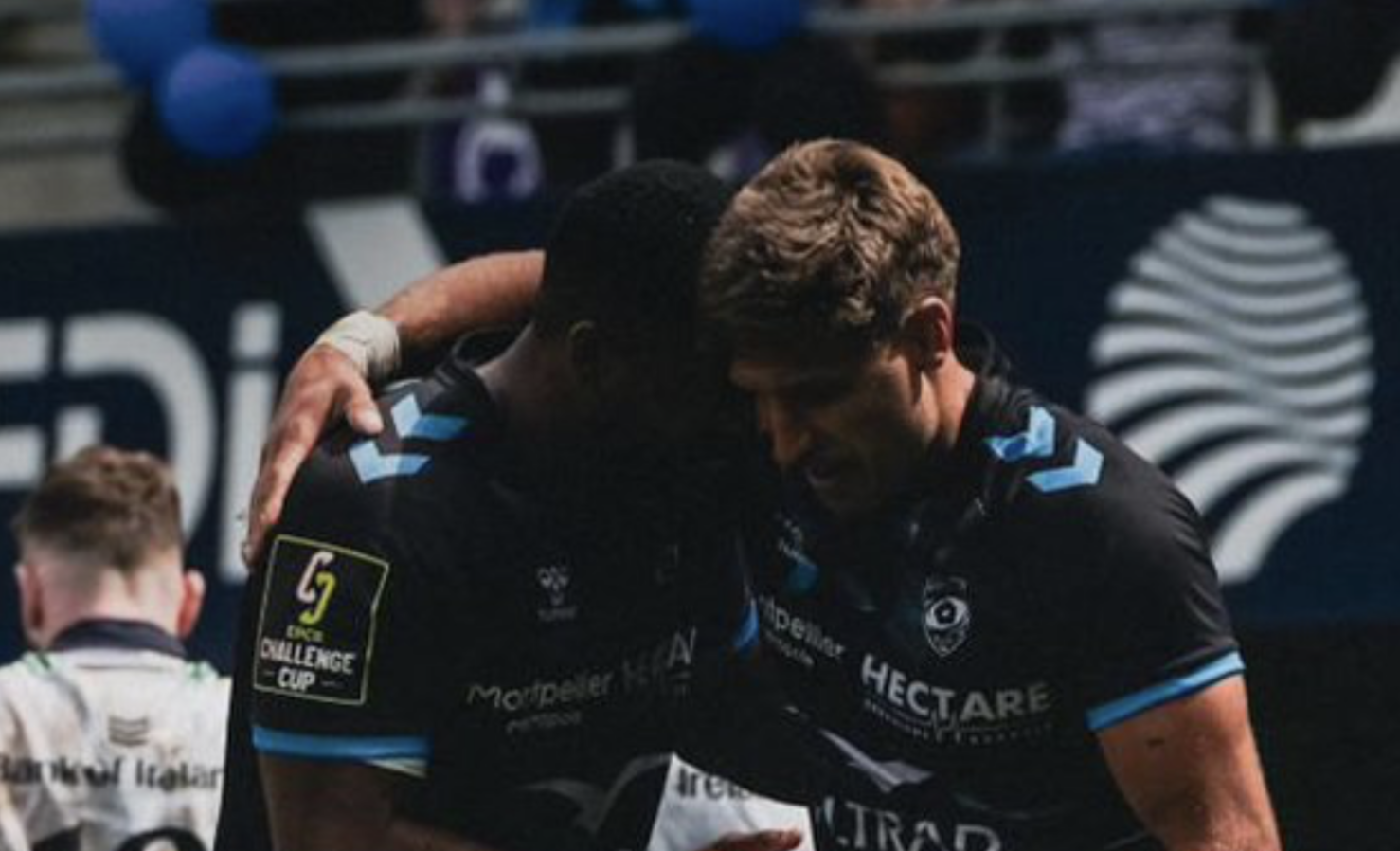Challenge Cup : Montpellier étouffe Connacht grâce à un pack souverain et clinique