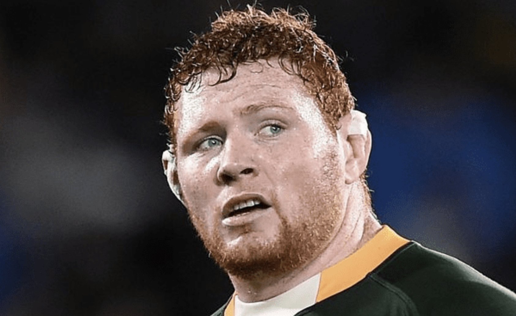 Springboks : Steven Kitshoff affiche sa confiance face aux All Blacks