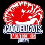 Logo Montech