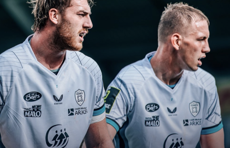 Harlequins vannes