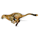 Cheetahs
