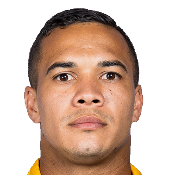 Cheslin Kolbe — Afrique du Sud