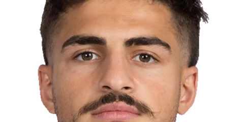 Davit Niniashvili &mdash; Trois-quarts (ailier/arri&egrave;re) Stade Rochelais