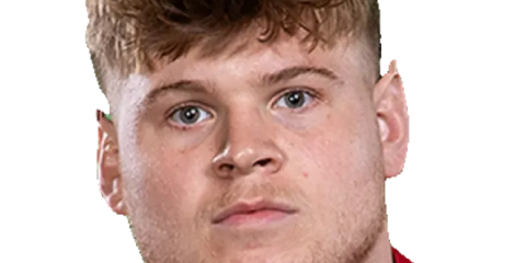 Gabe Hawley &mdash; Pilier Scarlets