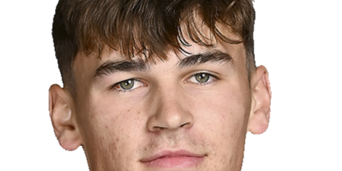 Ioan Jones &mdash; Trois-quarts (ailier/arri&egrave;re) Scarlets