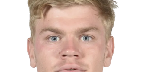 Morne Van Den Berg &mdash; Demi de M&ecirc;l&eacute;e Lions