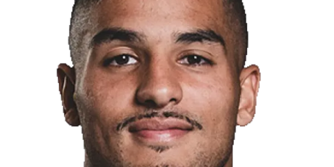 Nelson Epee &mdash; Trois-quarts (ailier/arri&egrave;re) Stade Toulousain